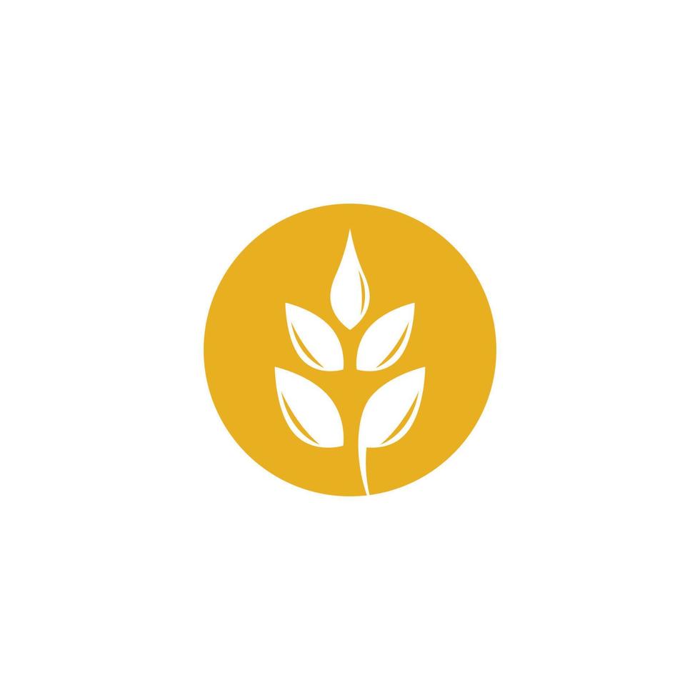 diseño de ilustración de icono de vector de trigo