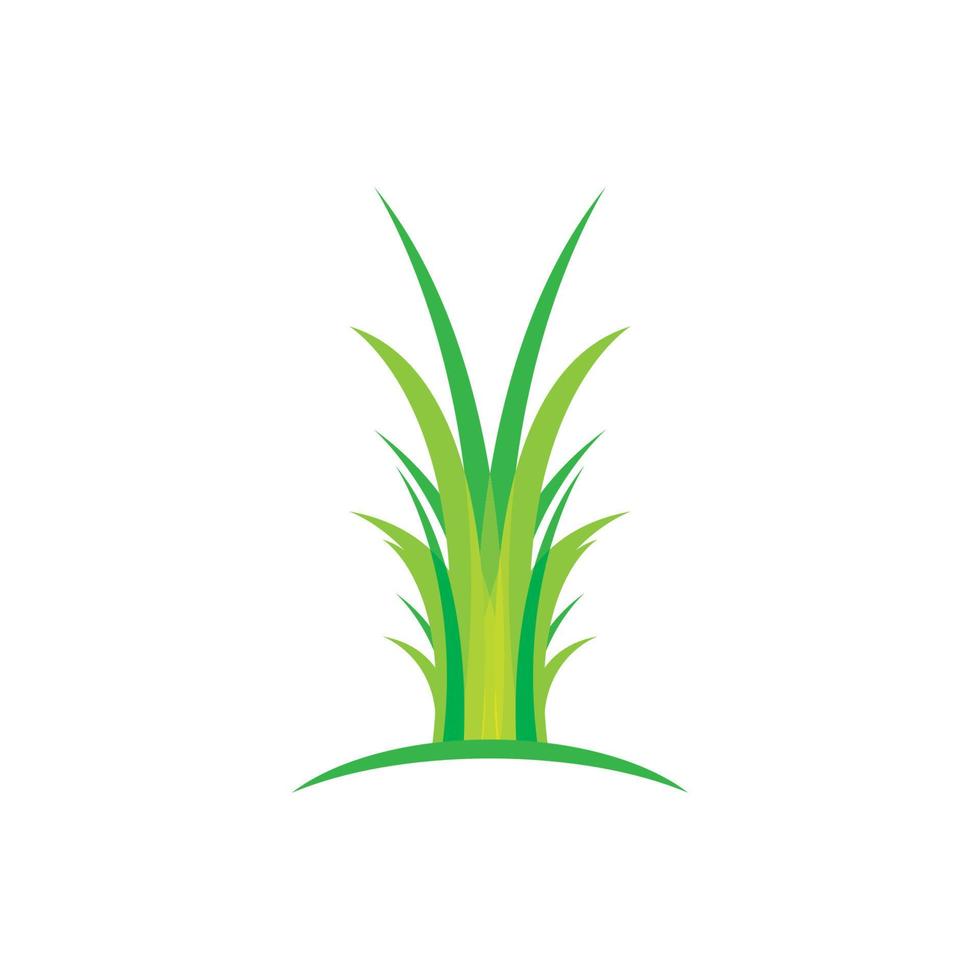 Grass vector illustration