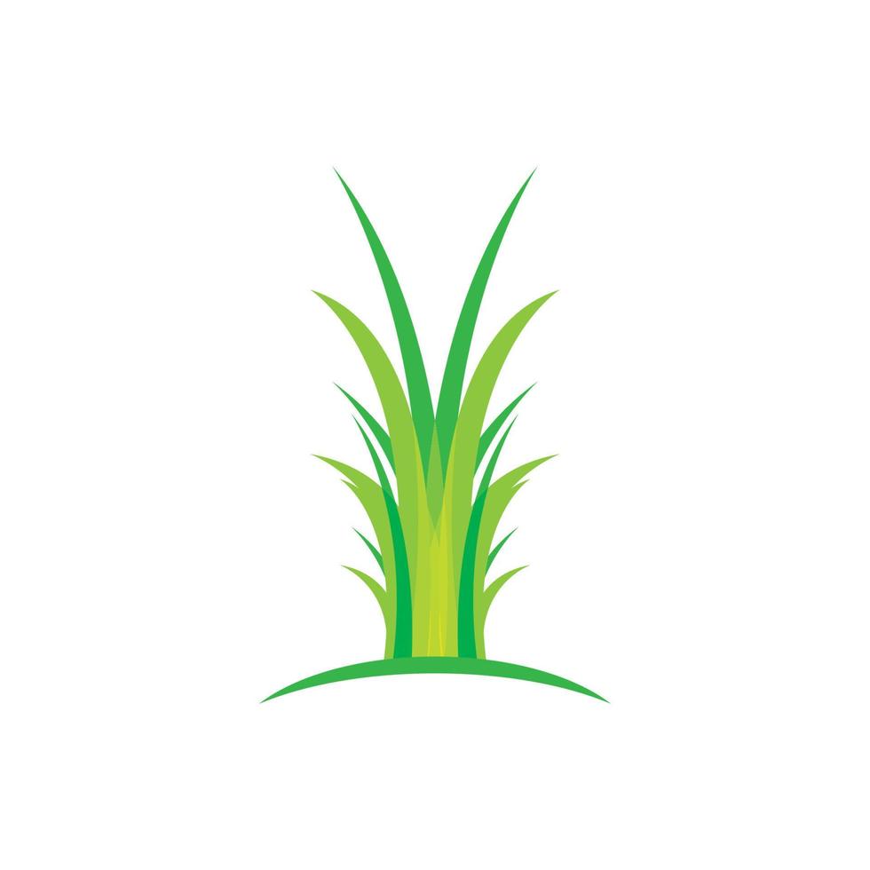 Grass vector illustration