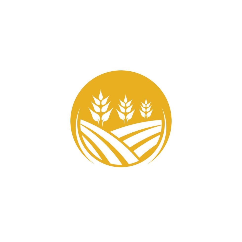 icono de vector de plantilla de logotipo de trigo de agricultura