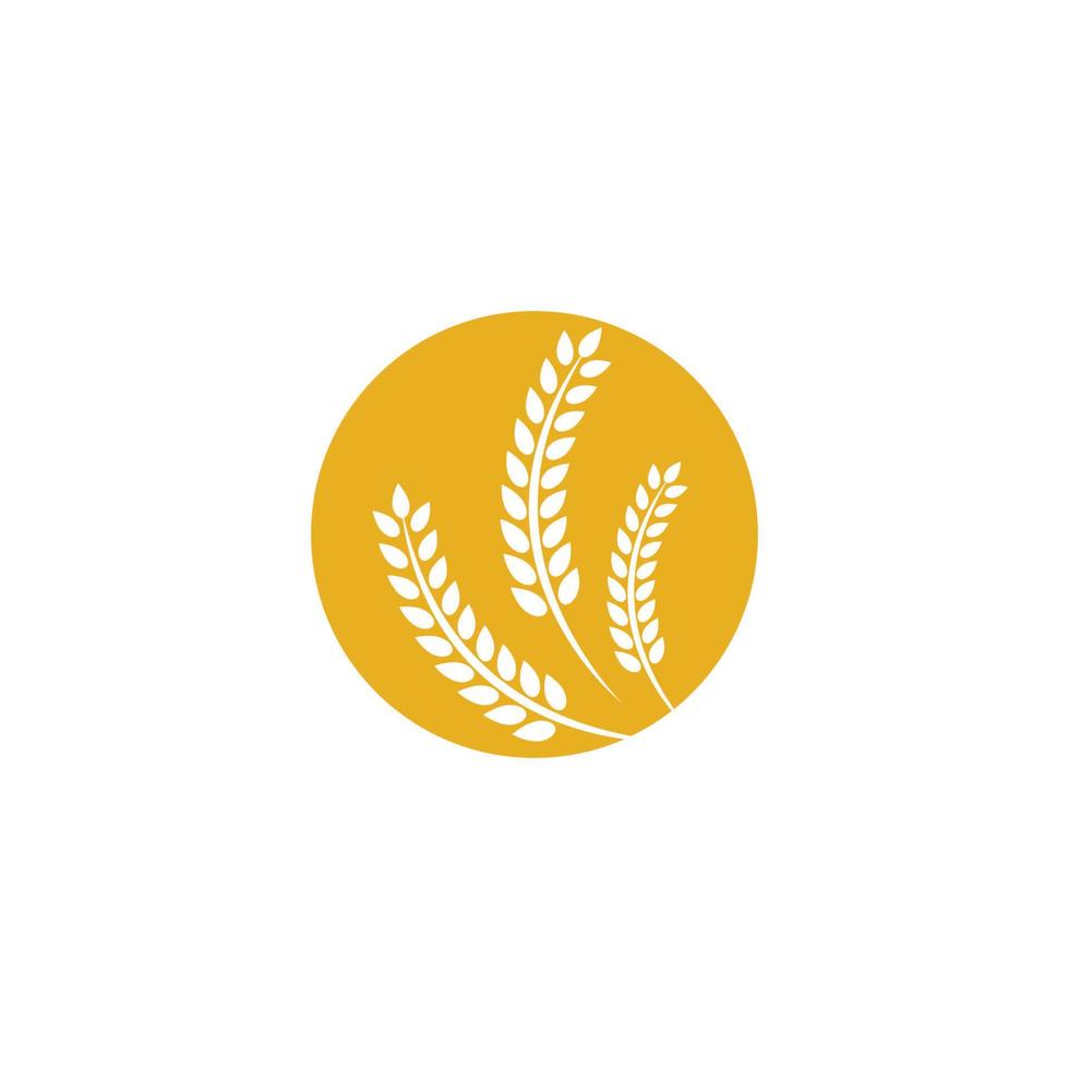 Wheat logo images vector