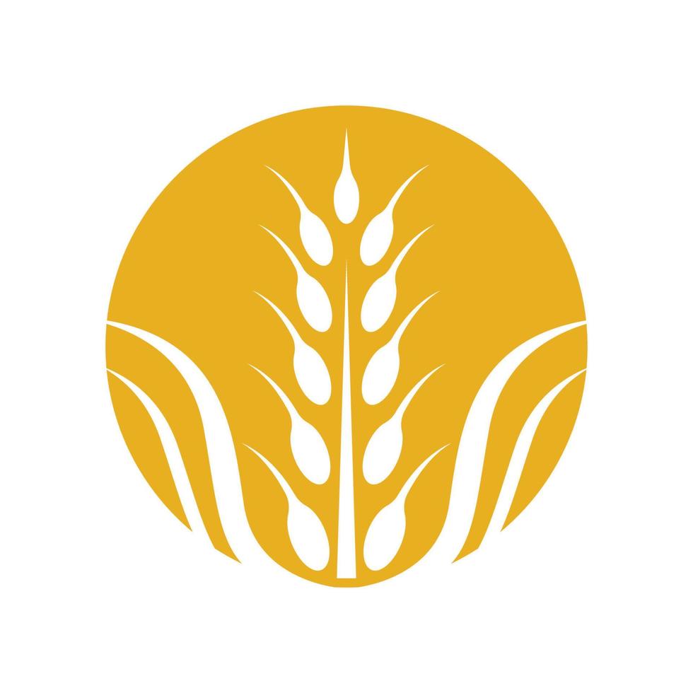 Wheat logo images vector