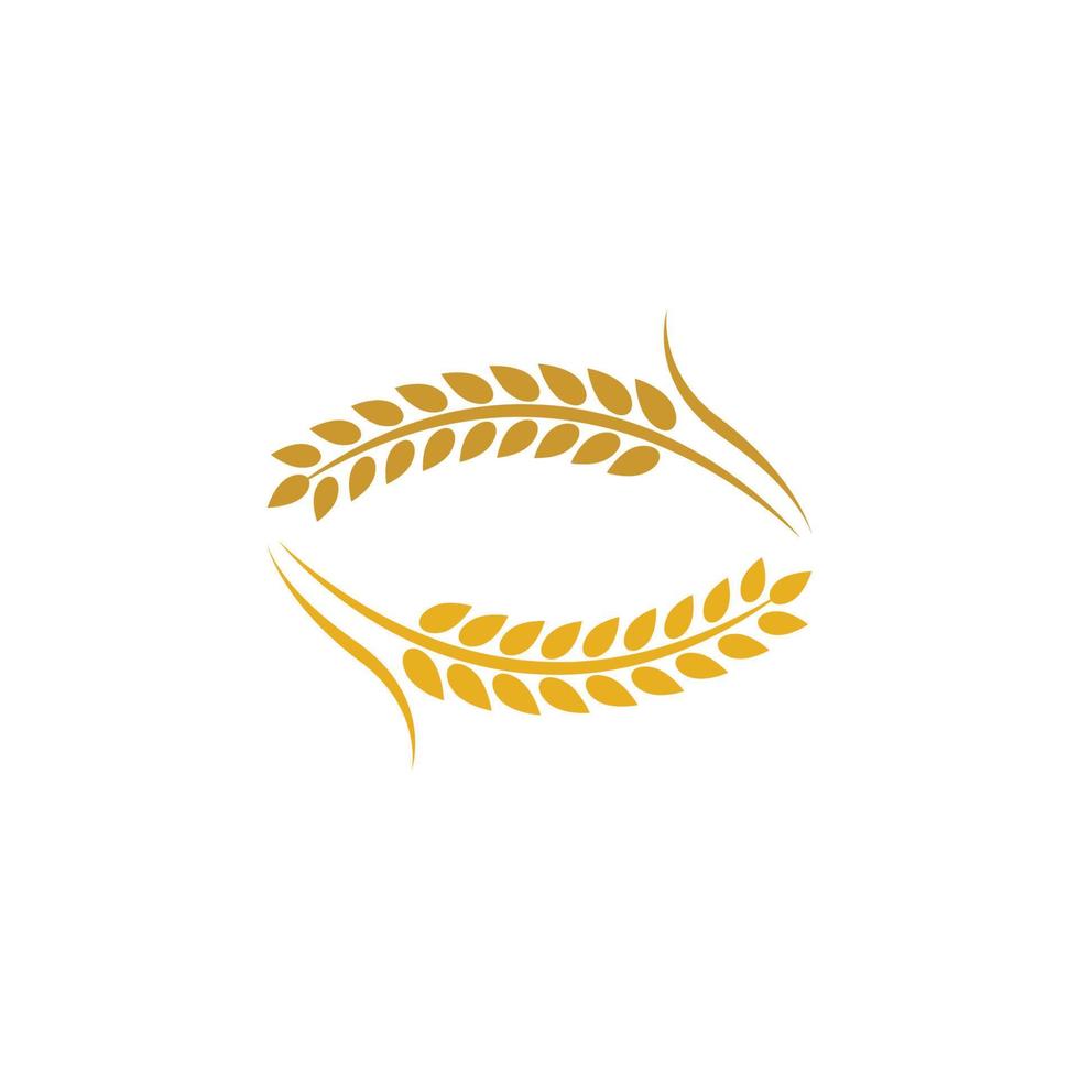 Wheat logo images vector
