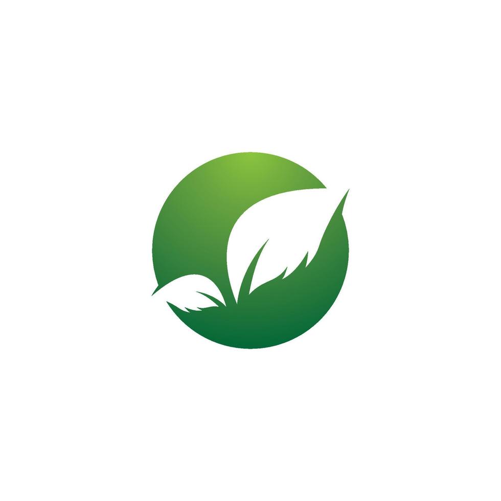 Leaf symbol vector icon