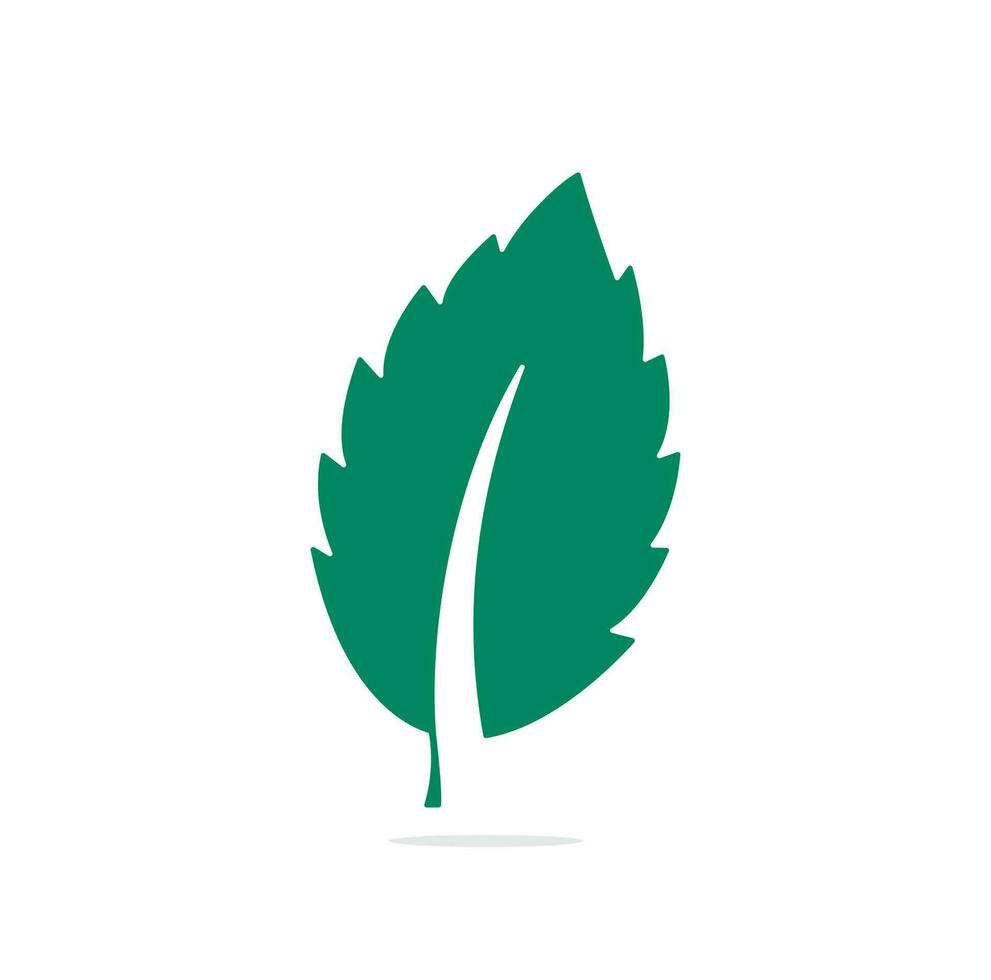 mint leaf element vector icon. green mint leaves vector logo.