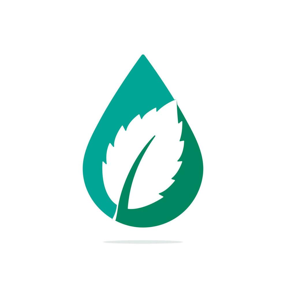 logotipo de concepto de forma de gota de hoja de menta. logotipo vectorial de hojas de menta verde. vector