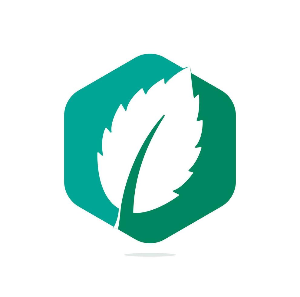 mint leaf element vector icon. green mint leaves vector logo.