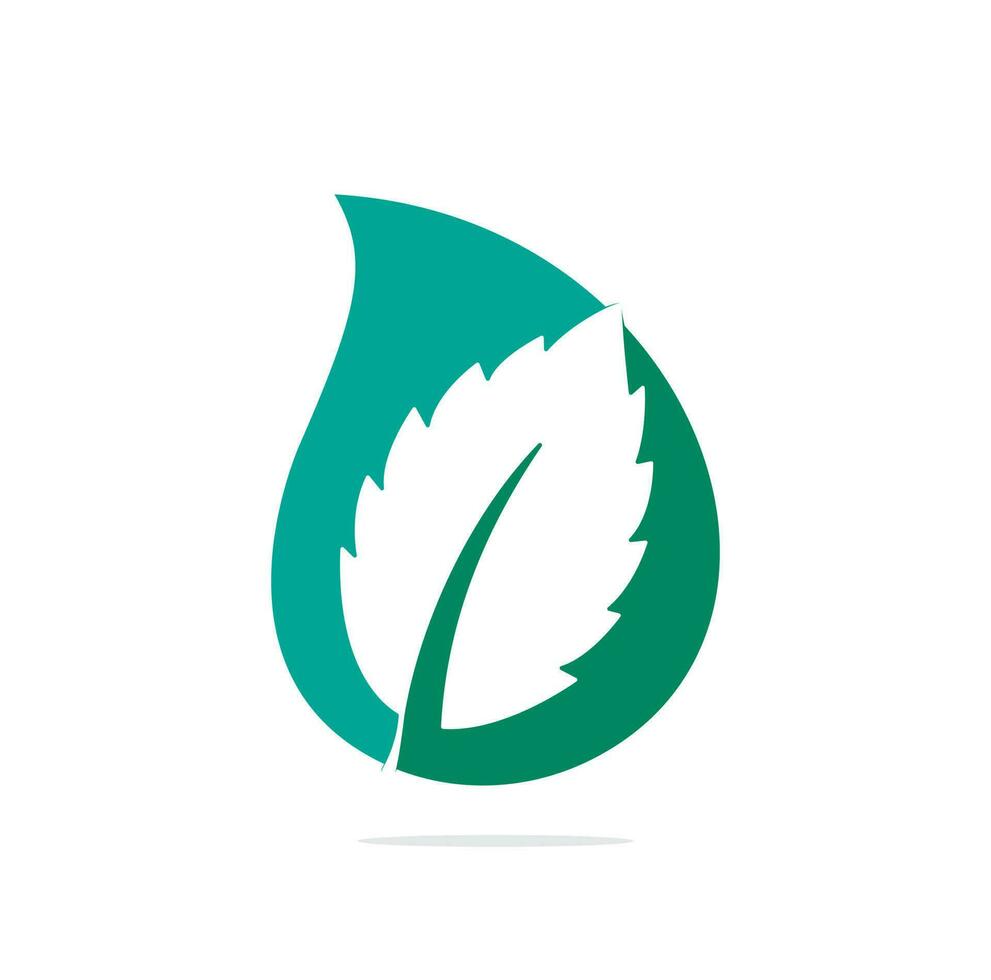 logotipo de concepto de forma de gota de hoja de menta. logotipo vectorial de hojas de menta verde. vector