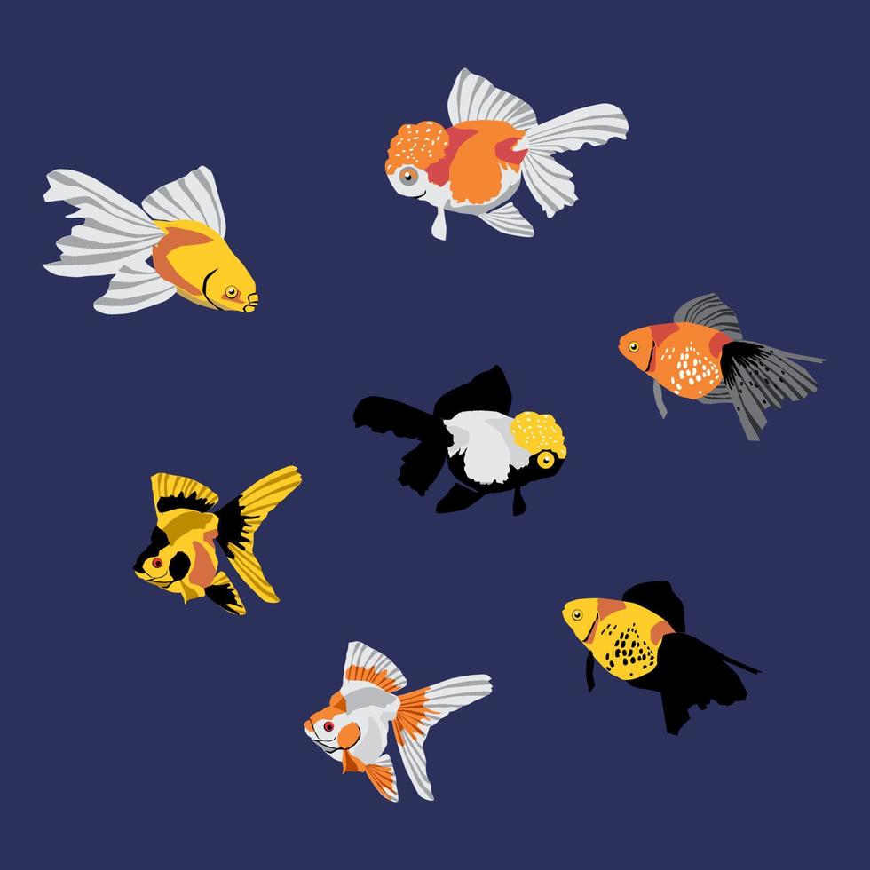 Decorative fish vector design for aquarium