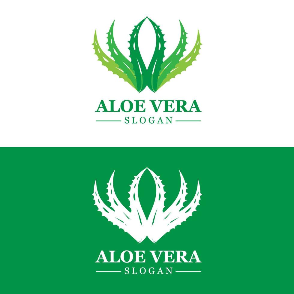 Aloe Vera Logo, Health Leaf Vector, Design Suitable For Beauty Salon, Organic Recycling, Skin Health Leaf vector