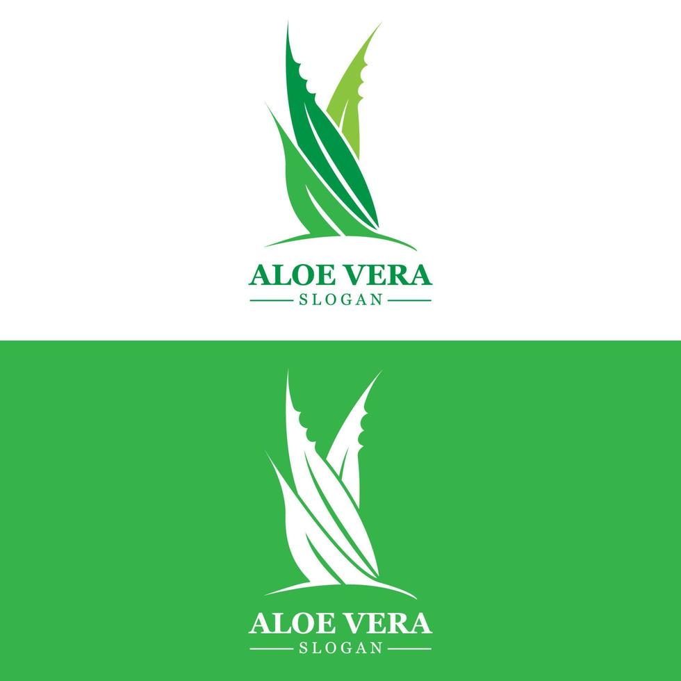 Aloe Vera Logo, Health Leaf Vector, Design Suitable For Beauty Salon, Organic Recycling, Skin Health Leaf vector