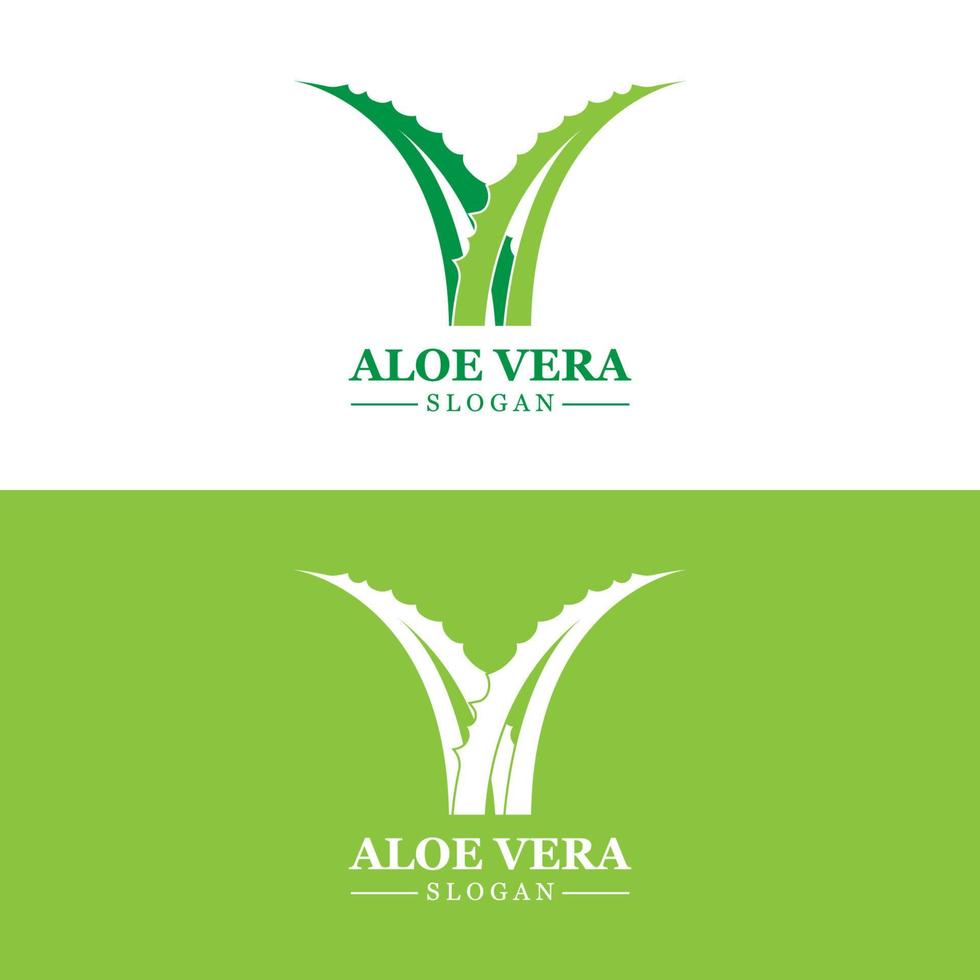 Aloe Vera Logo, Health Leaf Vector, Design Suitable For Beauty Salon, Organic Recycling, Skin Health Leaf vector