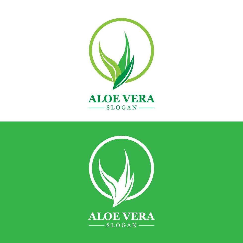 Aloe Vera Logo, Health Leaf Vector, Design Suitable For Beauty Salon, Organic Recycling, Skin Health Leaf vector