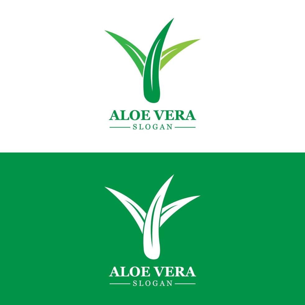 Aloe Vera Logo, Health Leaf Vector, Design Suitable For Beauty Salon, Organic Recycling, Skin Health Leaf vector