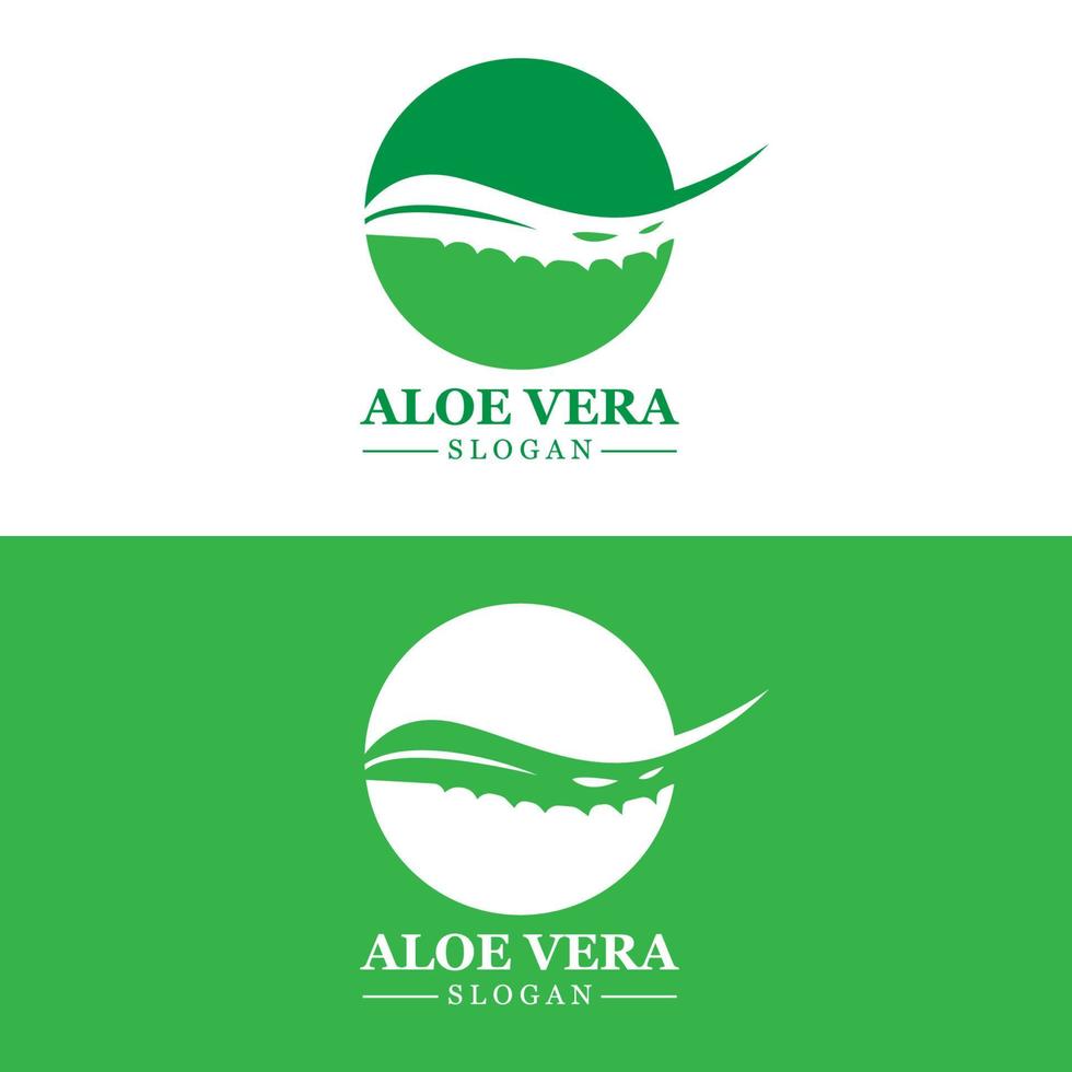 logotipo de aloe vera, vector de hoja de salud, diseño adecuado para salón de belleza, reciclaje orgánico, hoja de salud de la piel