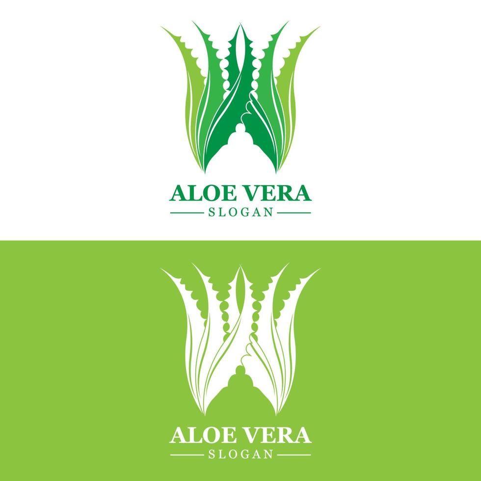 Aloe Vera Logo, Health Leaf Vector, Design Suitable For Beauty Salon, Organic Recycling, Skin Health Leaf vector