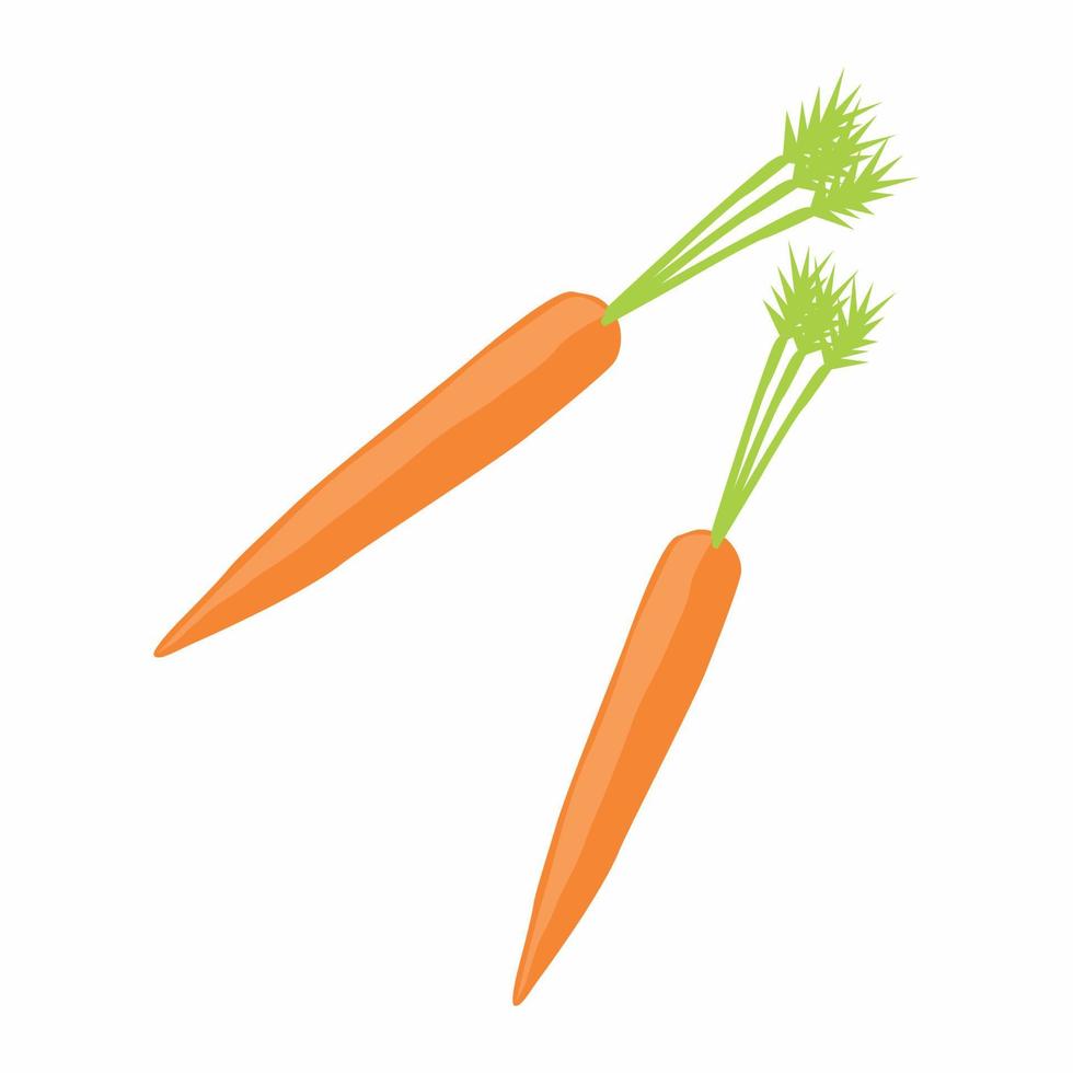 Carrot vector design