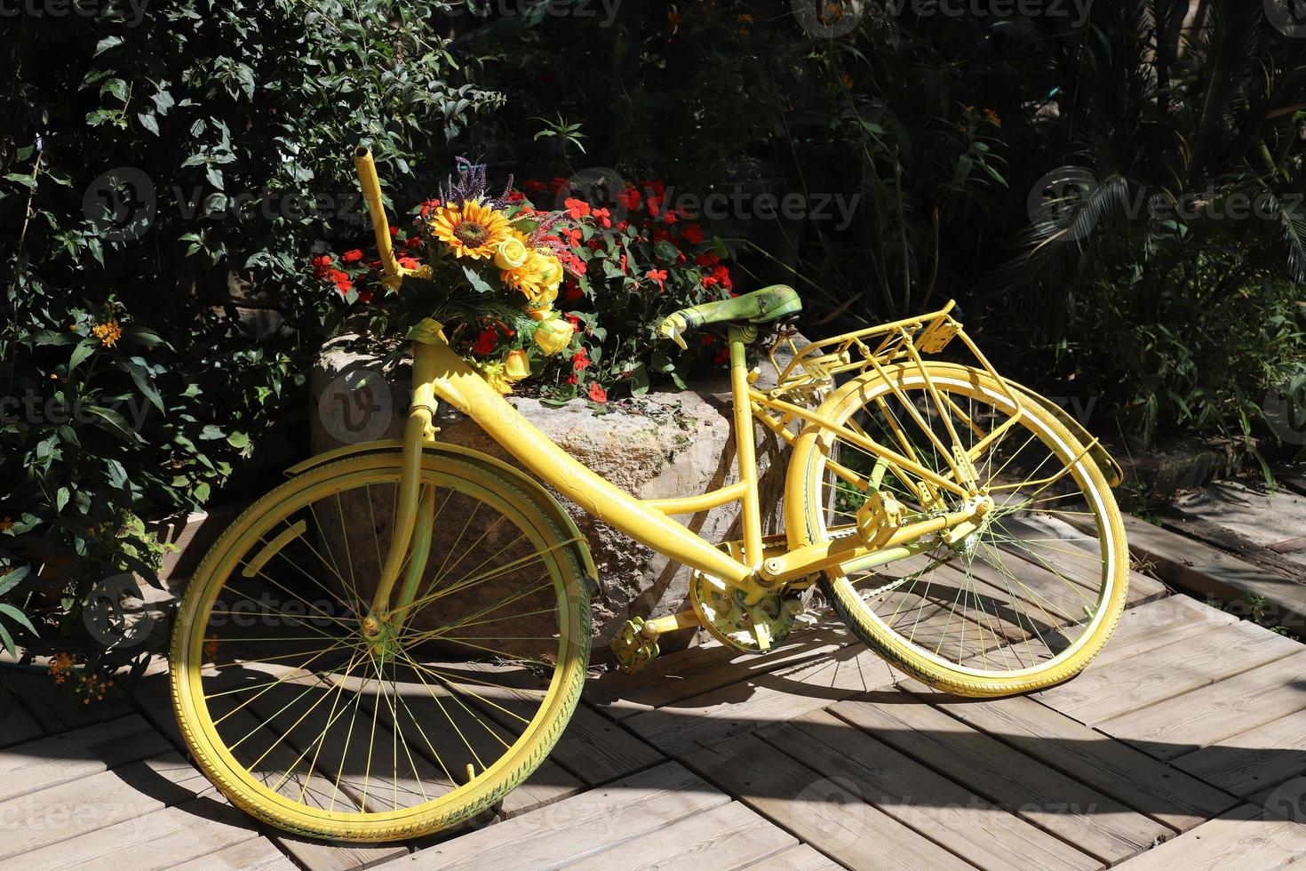 Bicycle in the city park near the sea. photo