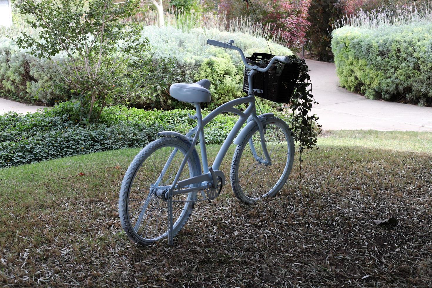 bicicleta en el parque de la ciudad cerca del mar. foto