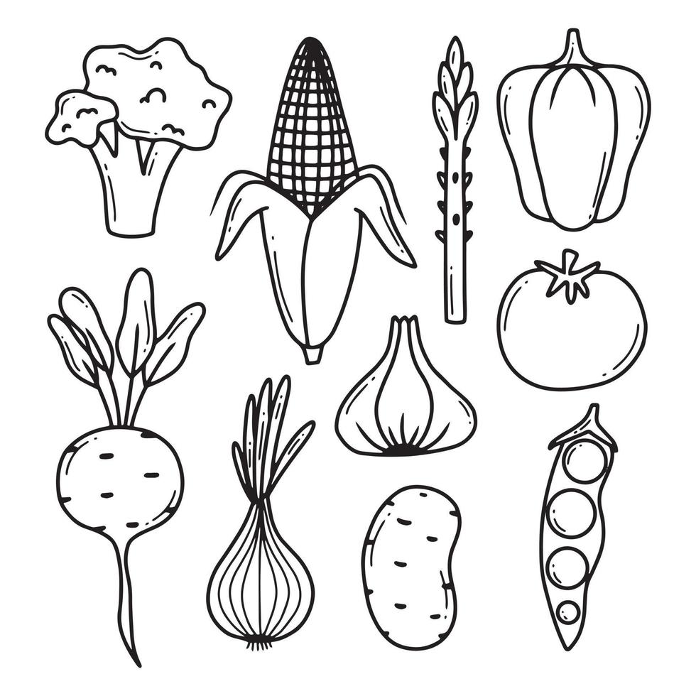 Doodle vegetables vector set. Collection of vegetables broccoli, corn, pepper, onion, garlic, asparagus. Hand-drawn style isolated on white background.