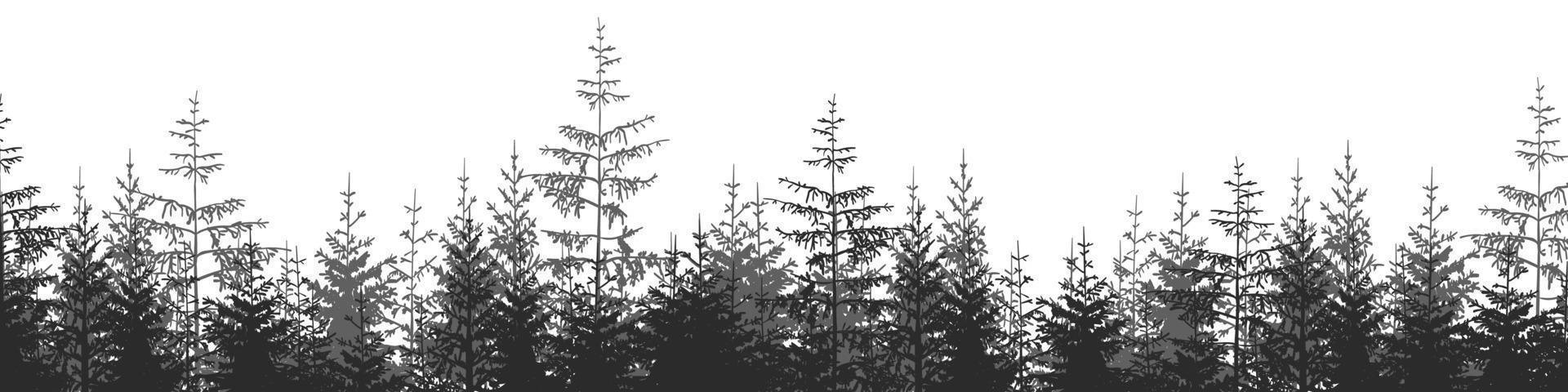 Landscape. Forest landscape with black and white silhouettes of trees. Vector illustration