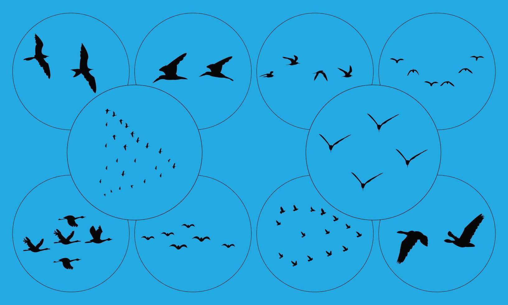 colección de siluetas de pájaros voladores vector