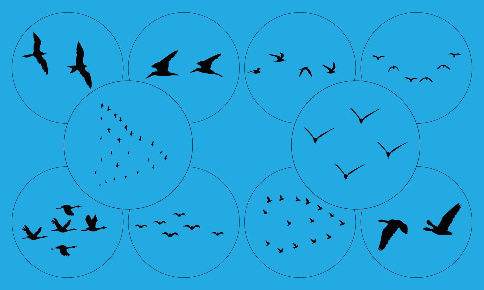 Flying Birds Silhouette Collection vector