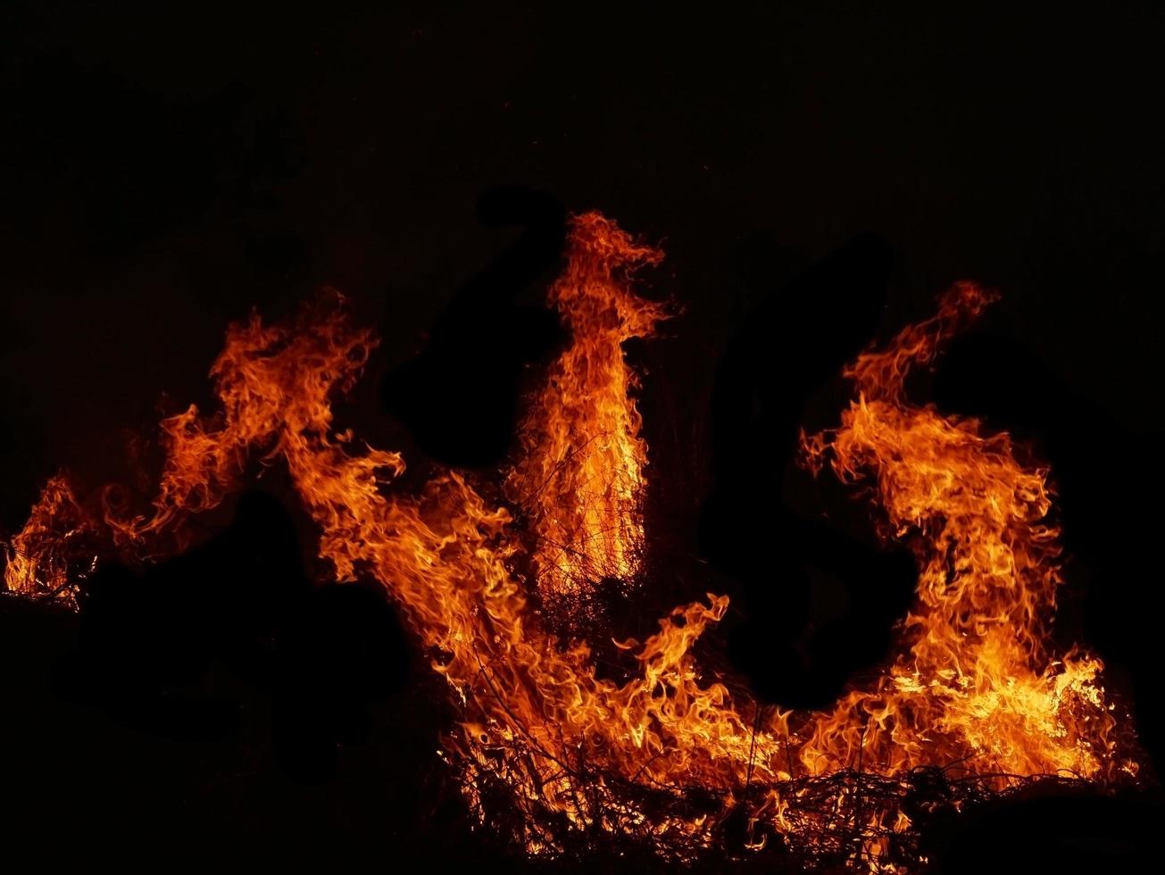 A beautiful flame shaped as imagined. like from hell, showing a dangerous and fiery fervor, black background photo