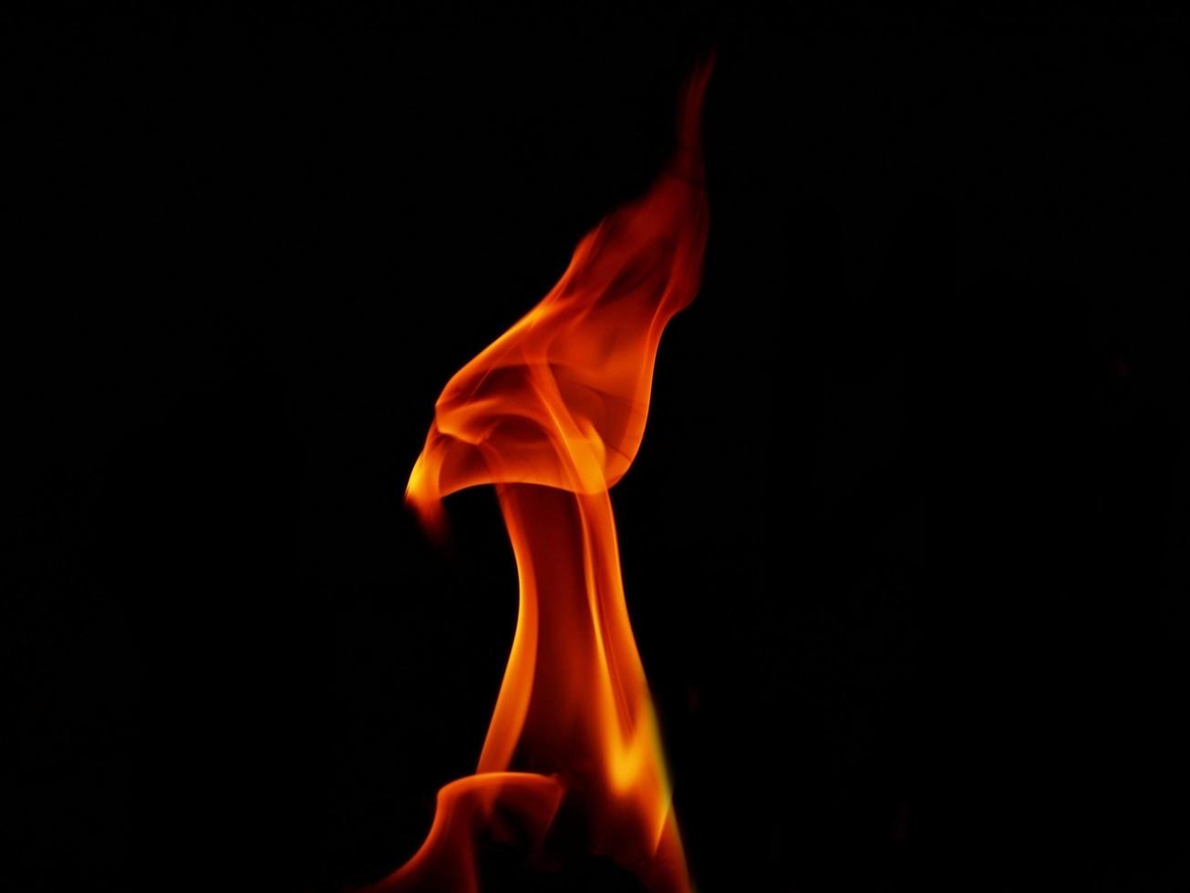 A beautiful flame shaped as imagined. like from hell, showing a dangerous and fiery fervor, black background. photo