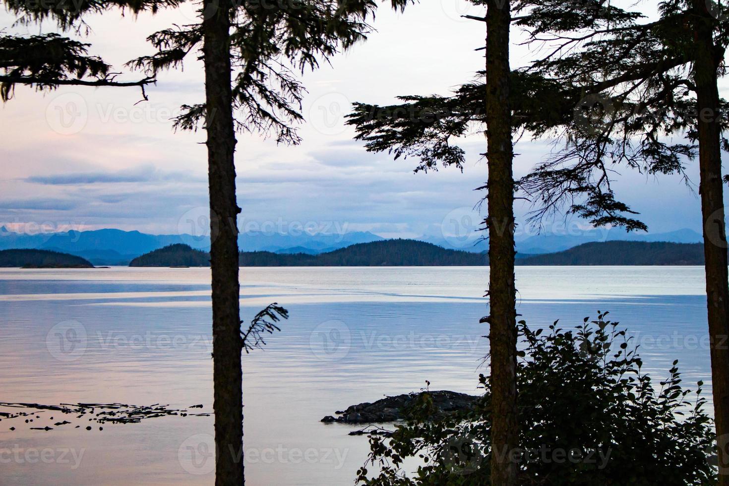 View through trees over Johnstone strait on Vancouver island photo