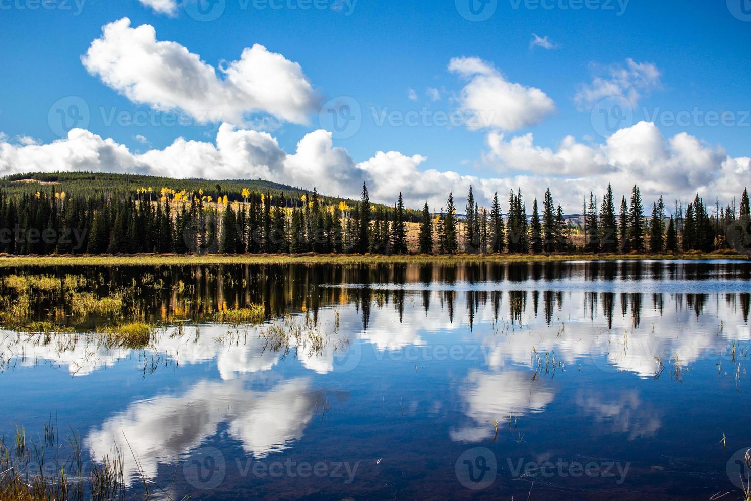 un reflejo de los árboles, el lago y el cielo en chilcotin columbia británica foto