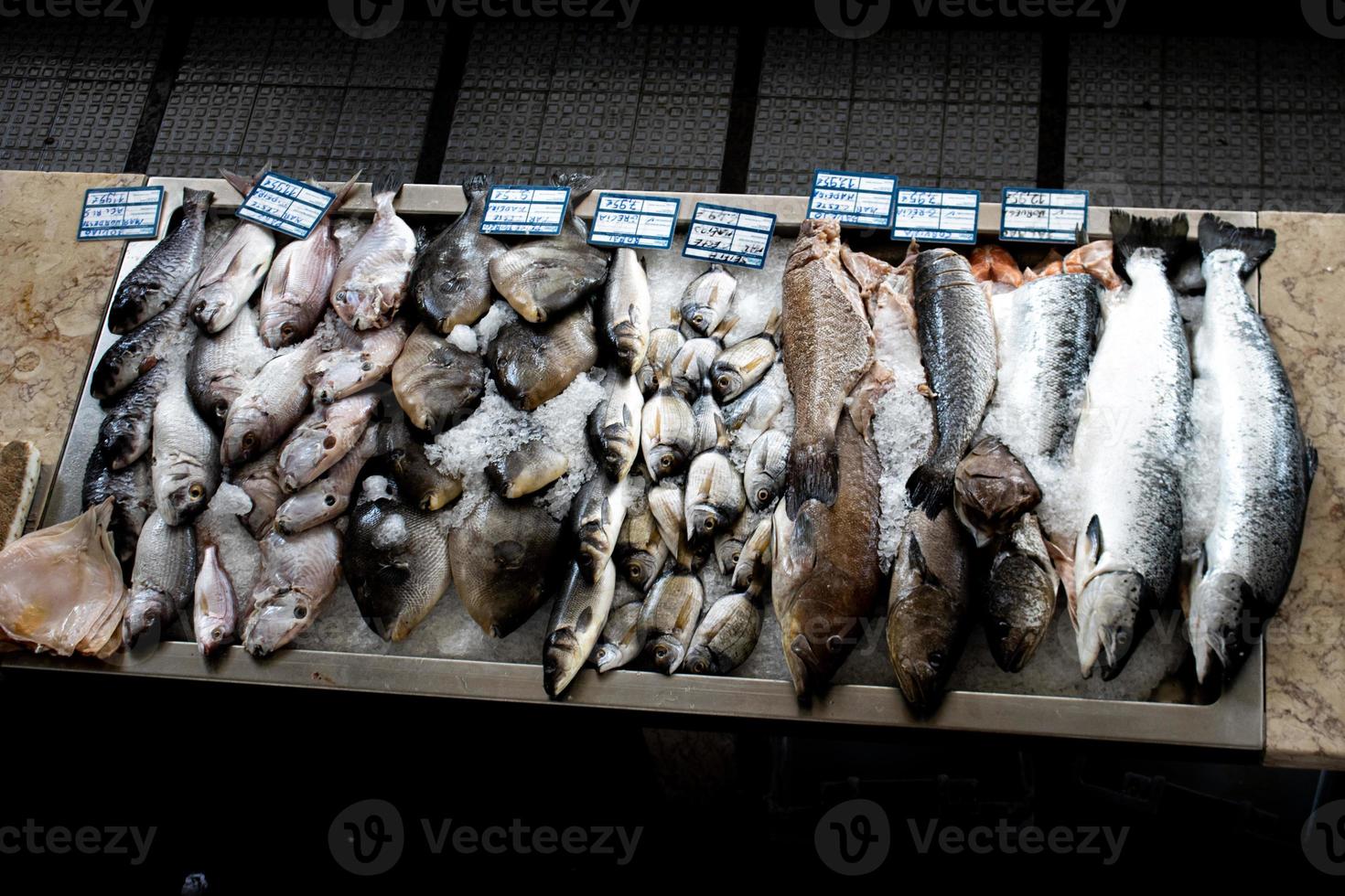 pescado fresco en un mercado de alimentos en funchal madeira foto
