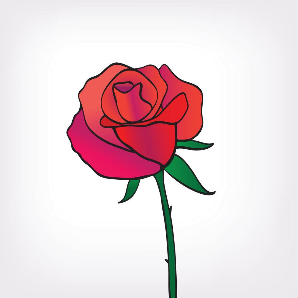 vector red rose icon isolated, hand drawn flower