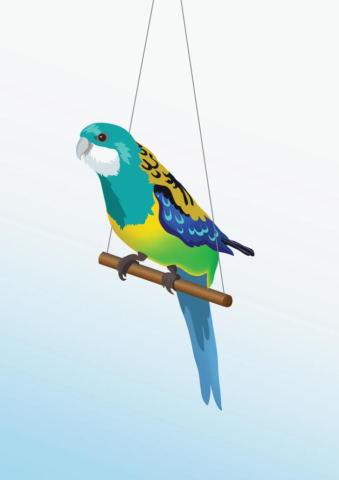 Vector realistic colorful parrot is sitting on the stick. Pets, bird isolated