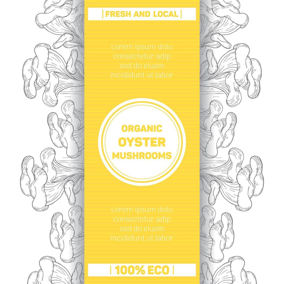 Organic oyster mushrooms. Packaging template mushrooms. Graphic vintage botanical illustration. Great for menu, label, product packaging. vector