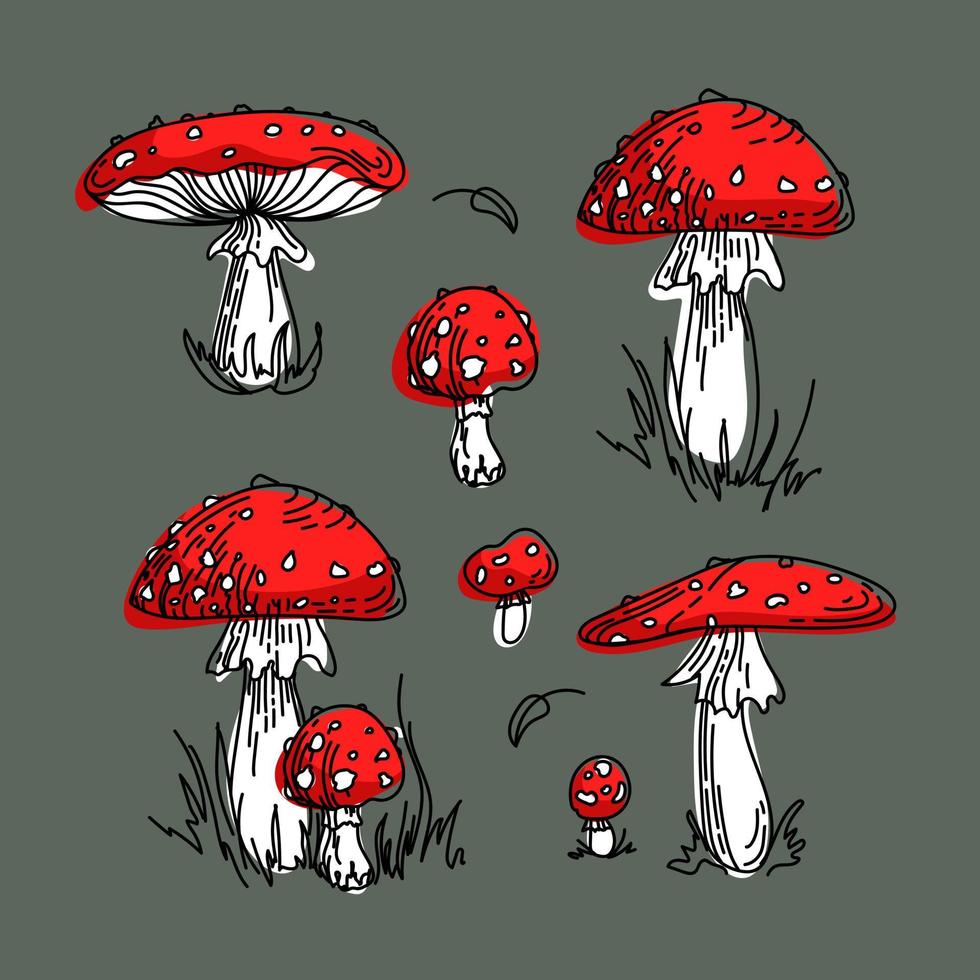 Fly agaric, Amanita, non-edible poisonous mushroom. Bright illustration in cartoon style. In red and green colors. Gathering in the autumn forest. For stickers, posters, postcards, design elements vector