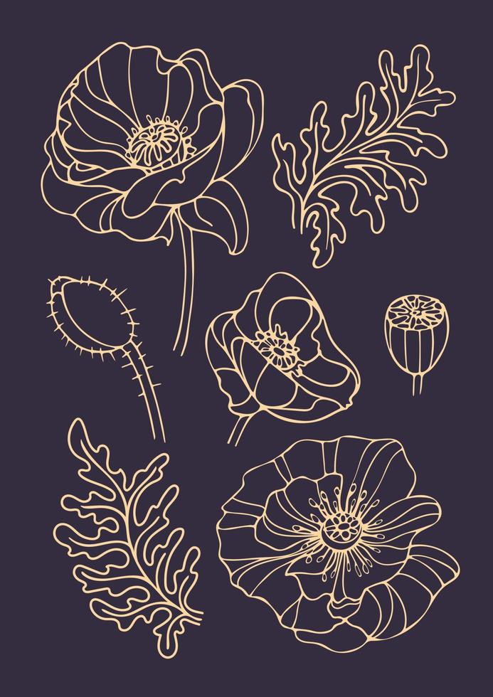 Set of vintage golden set of graceful poppy bud in hand drawn style. Art nouveau, modern. Spring flowers. For stickers, posters, postcards, design elements vector