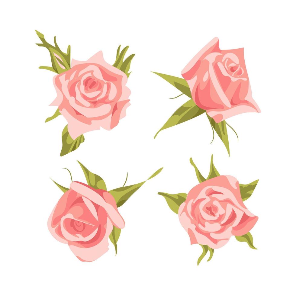 Set of pink roses for Valentines Day. Delicate spring flowers. Design elements. For stickers, posters, cards, wedding invitations vector
