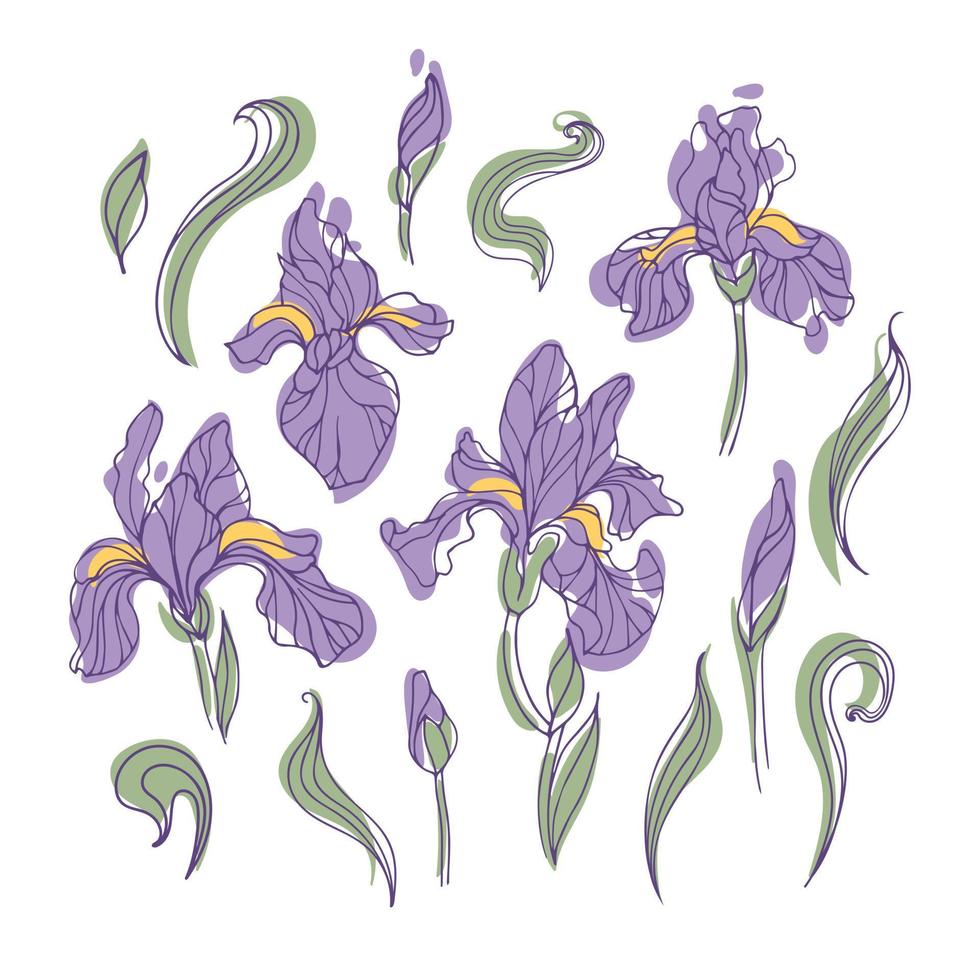 Set of modern bright iris flowers on a white background. Botanical vector illustration in hand drawn style for stickers, posters, cards, design elements.