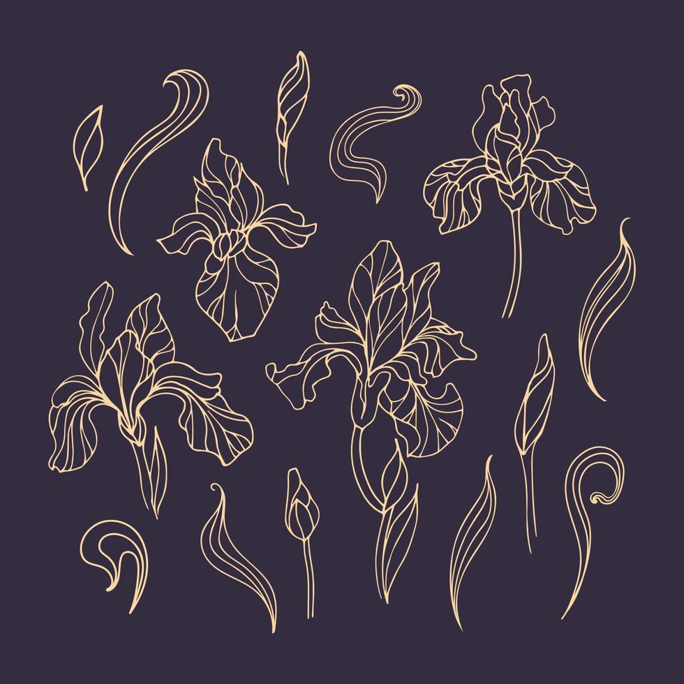 Set of vintage golden iris flowers on a dark background. Art nouveau, modern. Botanical illustration for stickers, posters, postcards, design elements vector