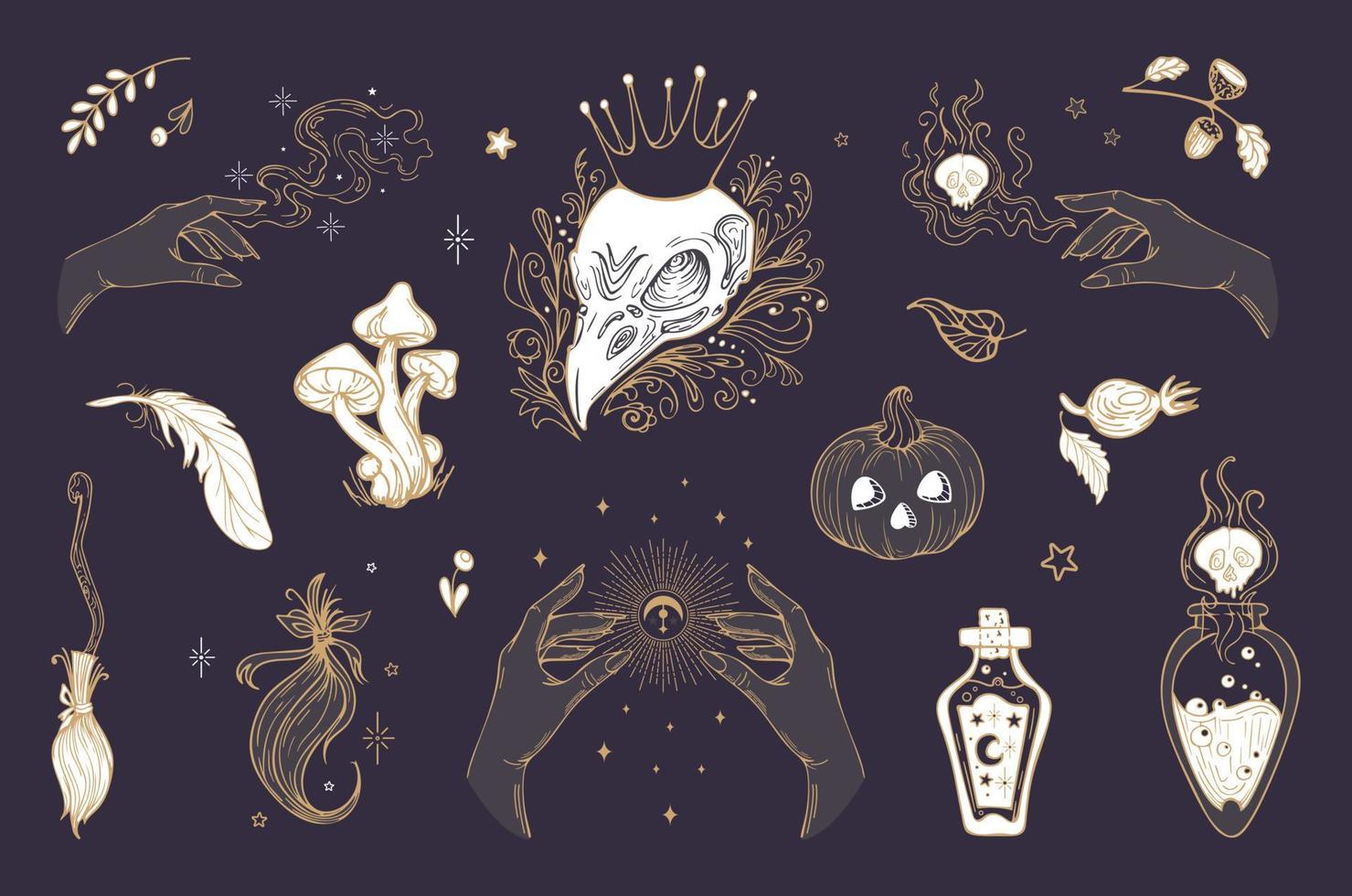 Vector vintage set illustration magic items, for Halloween. Raven skull, crown, Pumpkin, mushrooms, witch potions, feather, witchcraft, astrology, mystic. For stickers, posters, design elements