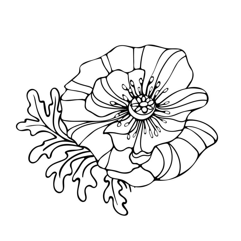 Vector illustration of graceful poppy bud in hand drawn style. Art Nouveau. Spring flowers. For stickers, posters, postcards, design elements.