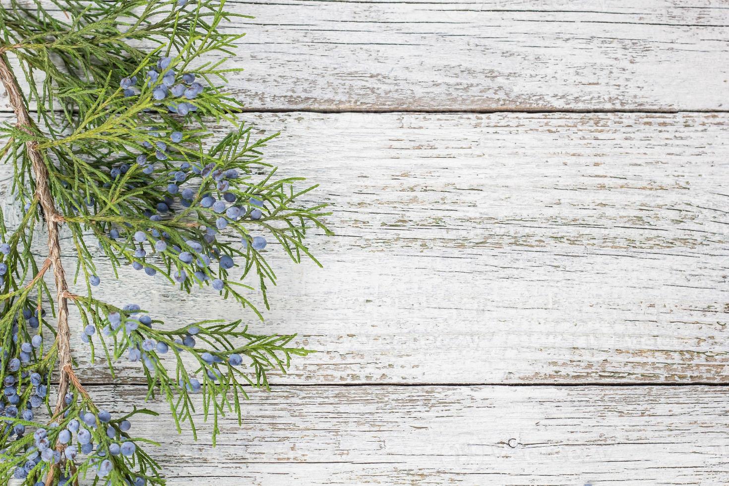 ramitas de thuja sobre fondo de madera con espacio de copia foto