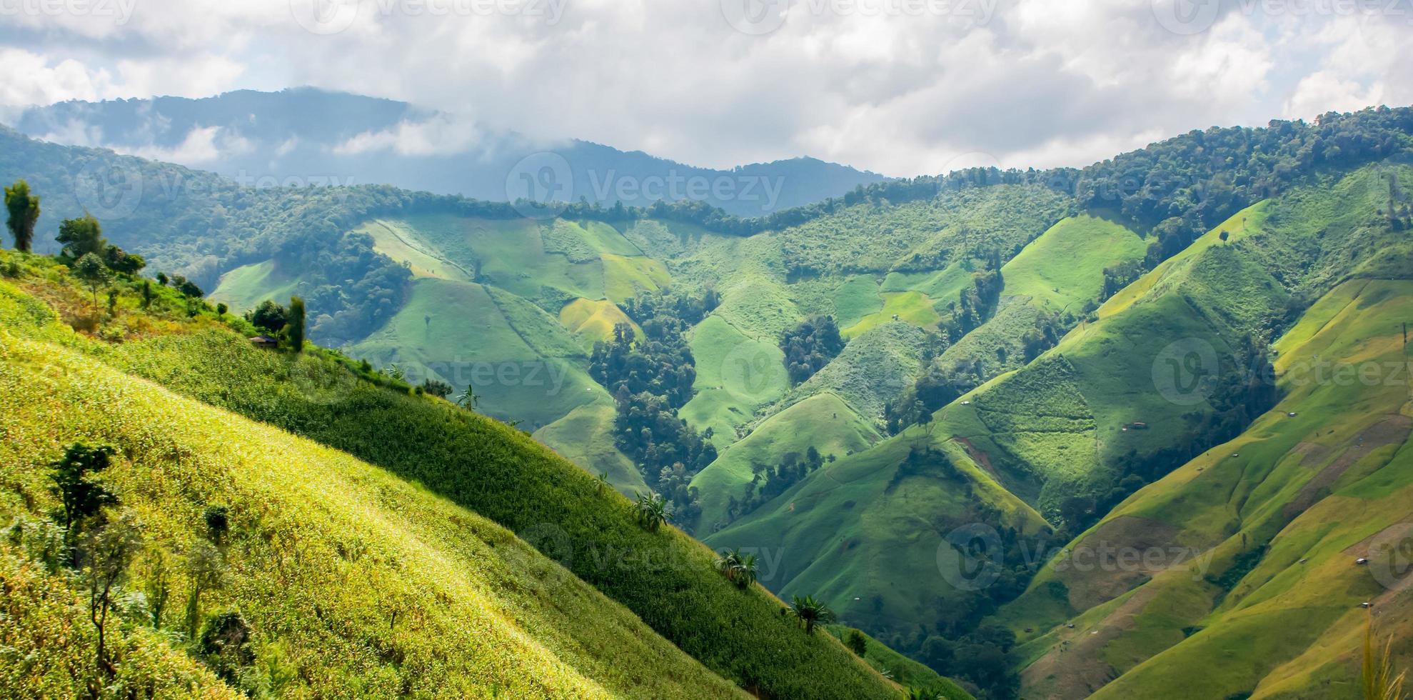 hermosa vista a la montaña del norte de tailandia en invierno, vacaciones de viaje por carretera, turismo y concepto de viaje, naturaleza fresca y relajada. foto