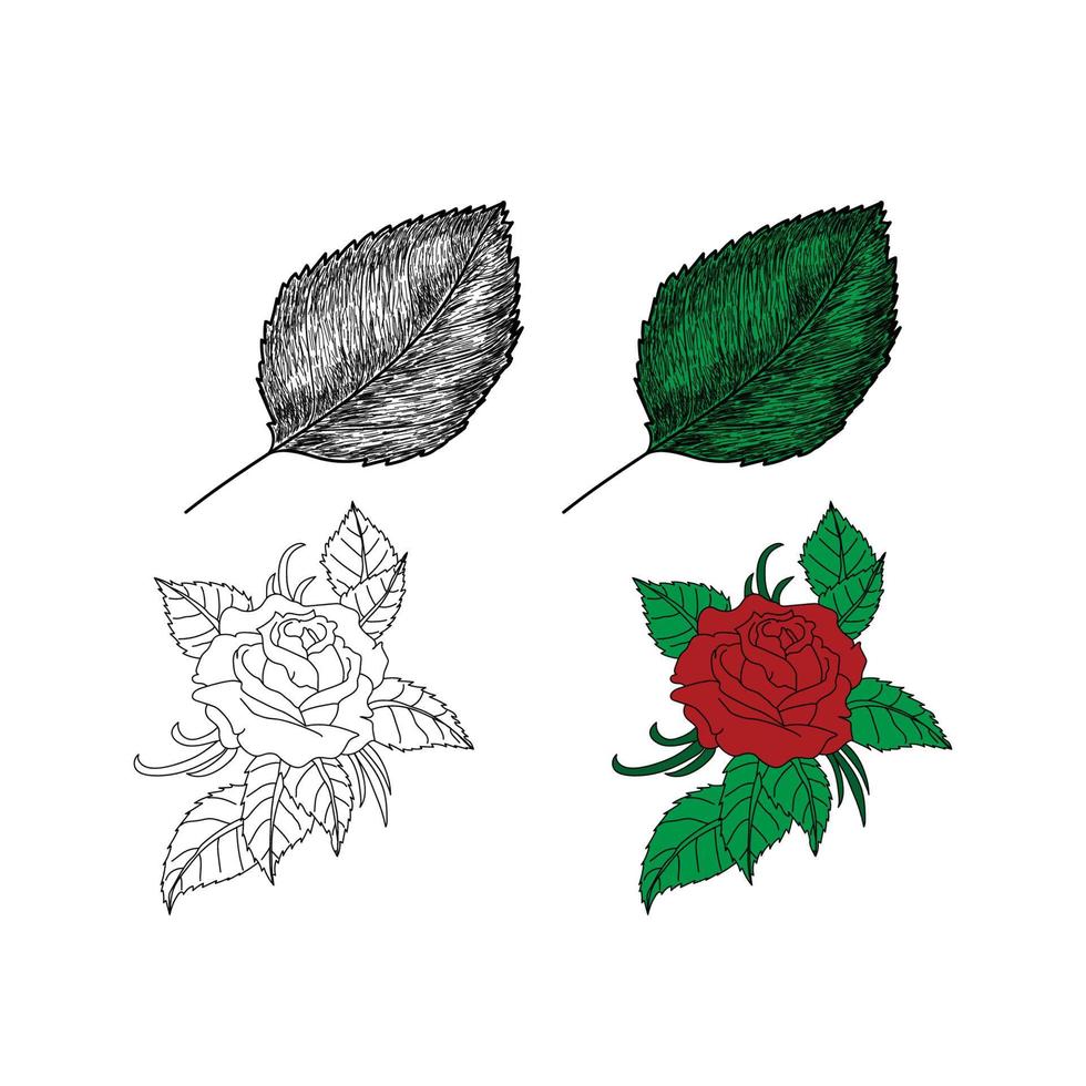 diseño de arte de línea floral y hoja vector