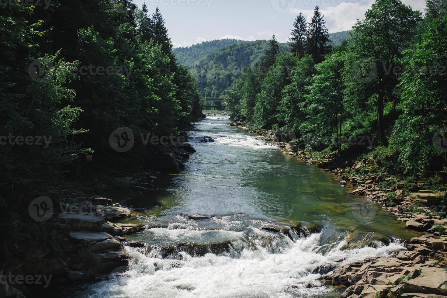Photo of beautiful mountain river with green thick Carpathian forest at summer day in mountains