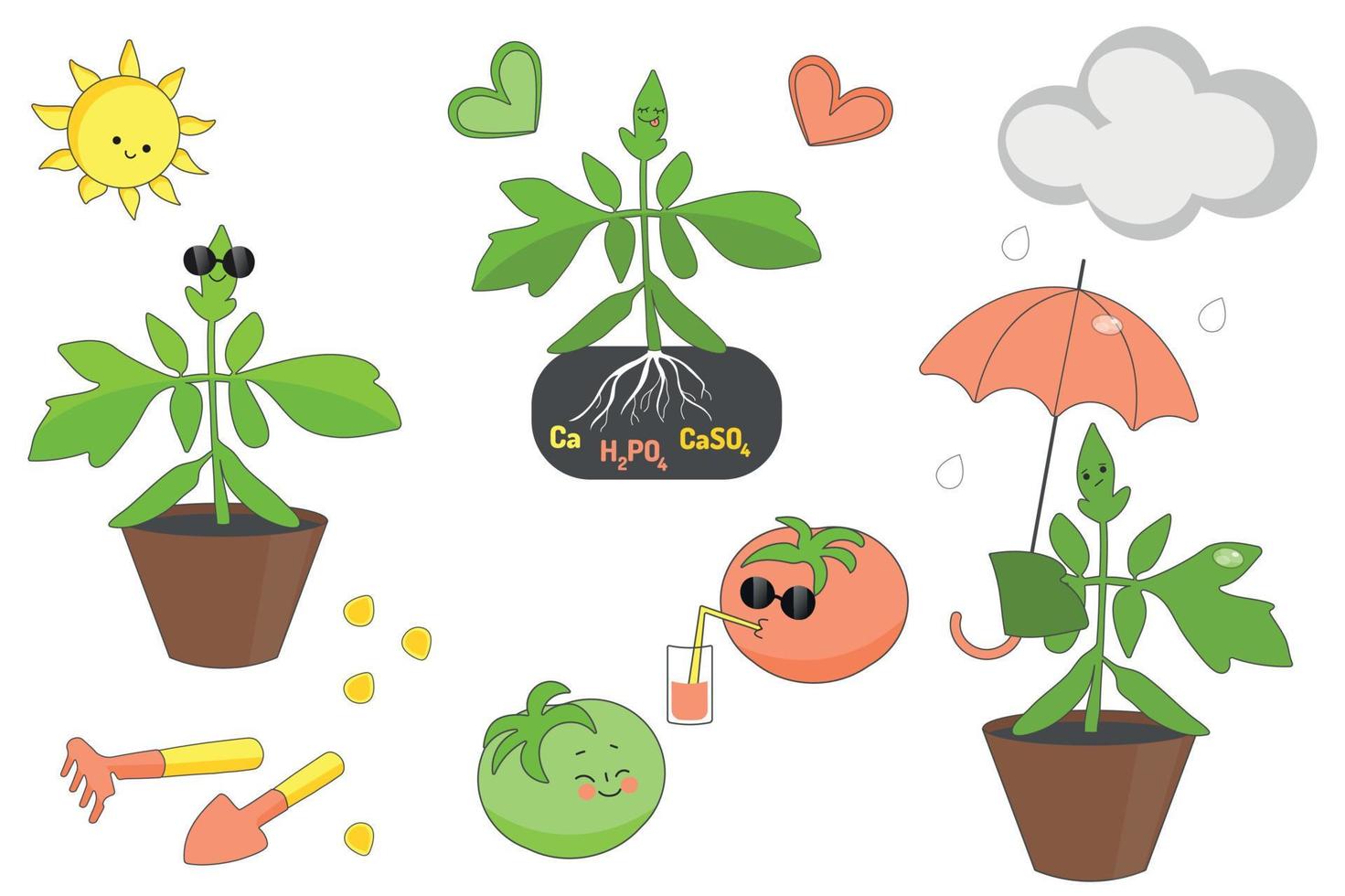 funny tomatoes, green and red tomatoes, gardening vector