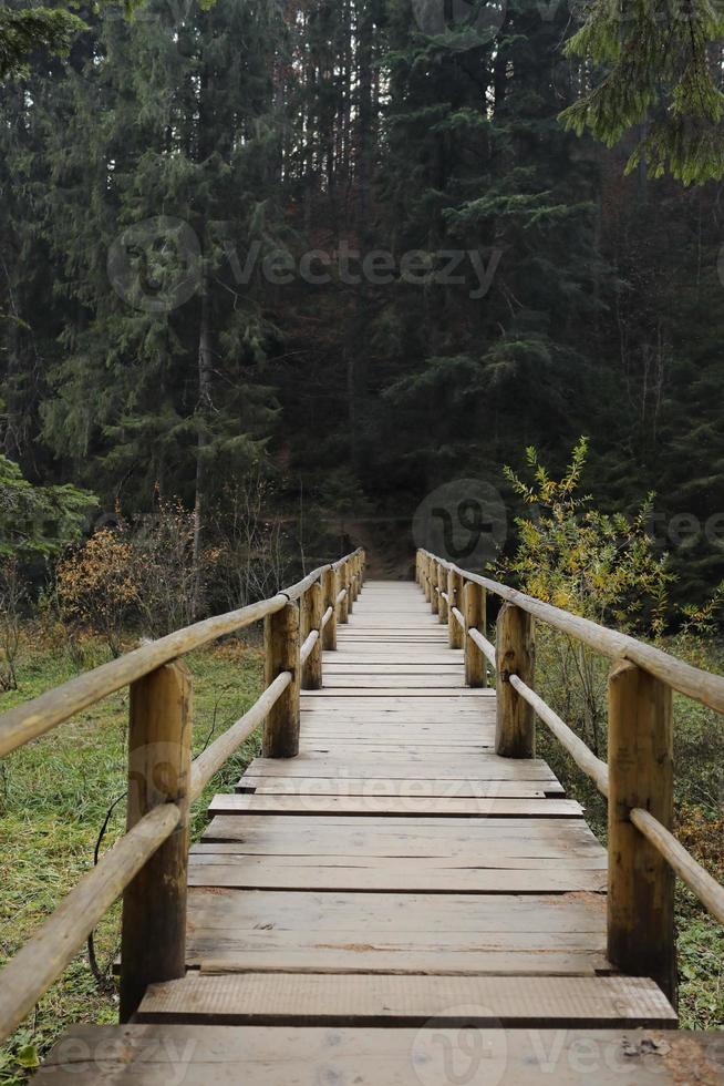 puente de madera para cruzar el lago synevyr en el bosque en ucrania foto