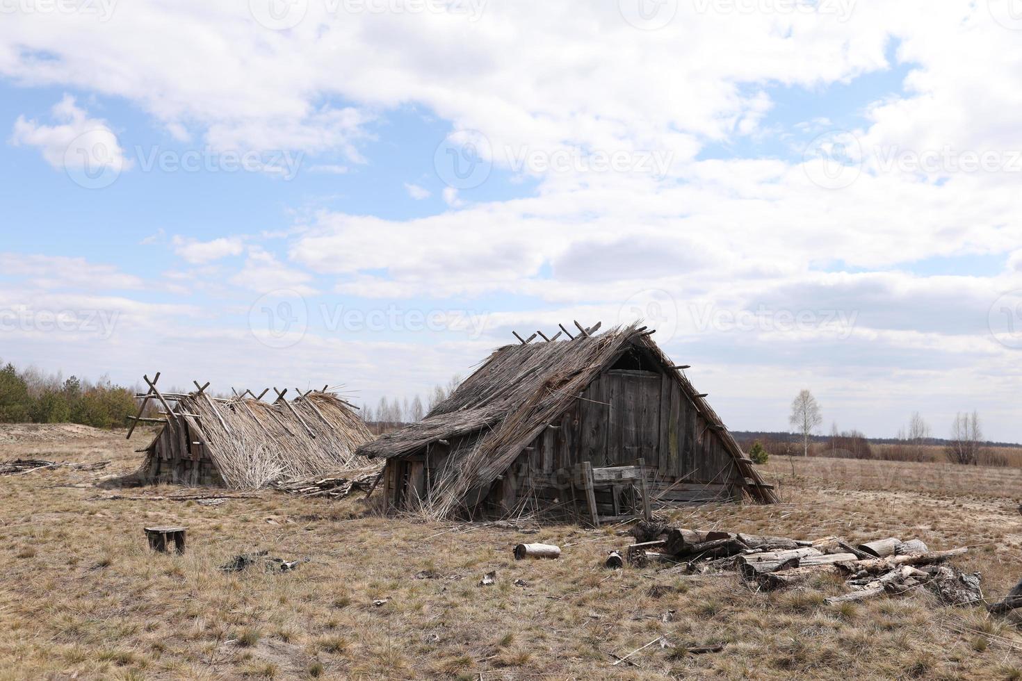 remnants of Ancient houses made from hollow logs with wooden and thatched roofs on the meadow photo