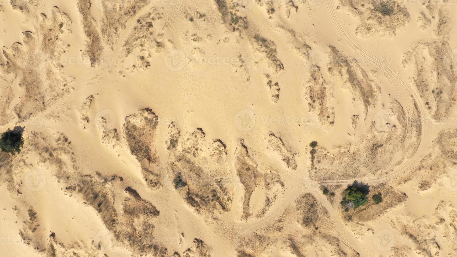 Aerial View of the Textures and Patterns of the Desert Sands. Beautiful landscape . Desert and green bushes photo